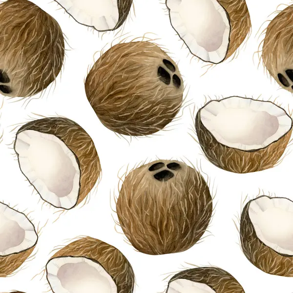 Hindistancevizi suluboya desenli beyaz. Gerçekçi bütünü ve dilimlenmiş palmiye ağaçları, tropikal doğa tasarımları ve ürünleri için arka planı tekrar eder. El çizimi yaz yemek klipsi sanatı.