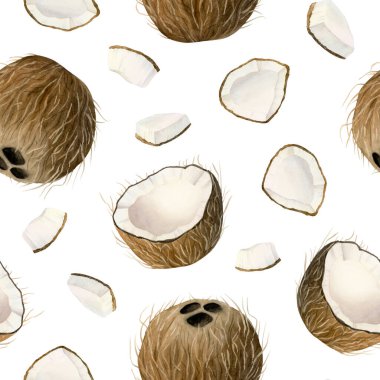 Suluboya hindistan cevizi, beyaz üzerine kusursuz desenler, gerçekçi bütünü ve dilimlenmiş palmiye ağacı meyveleri ve dilimleri tropikal doğa tasarımları ve ürünleri için arka planı tekrarlıyor. El yapımı yaz yemekleri..