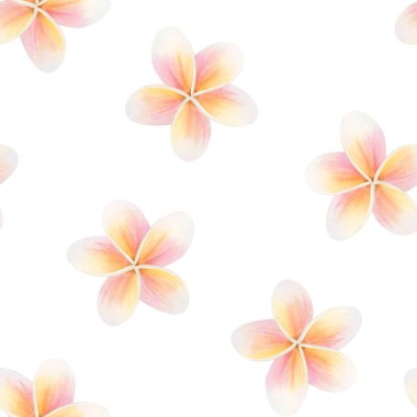 Plumeria tropikal çiçek suluboya arkaplan beyaz. Frangipani yaz bitkisi arka planı tekrarlıyor. Hoş kokulu tasarımlar için pastel pembe ve sarı renkli botanik klip sanatı.