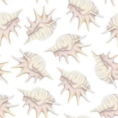 Pastel bej deniz kabuğu dikişsiz desenli suluboya deniz salyangozu kabuklu beyaz. El çizimi gerçekçi okyanus yumuşakçaları kıyı tasarımları için arka planı tekrarlıyor. Mercan resifi hayvan tropikal klip sanatı.