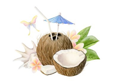 Hindistan cevizli tropik kokteyl içeceği, Plumeria çiçekleri, deniz kabuğu ve kelebek suluboya resimli. Sahil tatili tasarımları için dilimlenmiş meyve tokasıyla sağlıklı bir yaz içeceği..