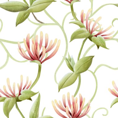 El yapımı hanımeli çiçekli suluboya desenli beyaz. Pastel sarı ve pembe bahçe bahar ve yaz çiçekleri için çiçek açan asma bahçeleri. Zarif çiçekler arka planı tekrarlar.