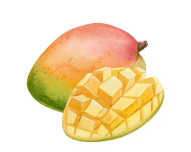 Suluboya mango meyveleri elle çizilmiş, beyaza izole edilmiş. Olgun yaz yemekleri ve küp küp dilimler. Meyve suyu tasarımları için tropik sağlık klipsi sanatı.