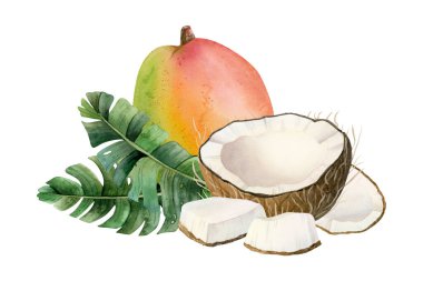 Beyaz arka planda izole edilmiş tropikal yapraklı mango ve hindistan cevizi. Yaz tasarımları için egzotik doğal yiyecekler. El çizimi gerçekçi çizim.
