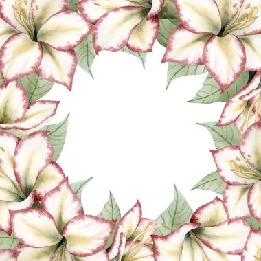 Suluboya Noel çiçekleri kare çerçevesi ve fotokopi alanı. Yeni yılda Amaryllis geleneksel bitkileriyle birlikte kış tatili için tebrik kartı şablonu çizildi. Hippeastrum buketi çiçek tokası sanatı.