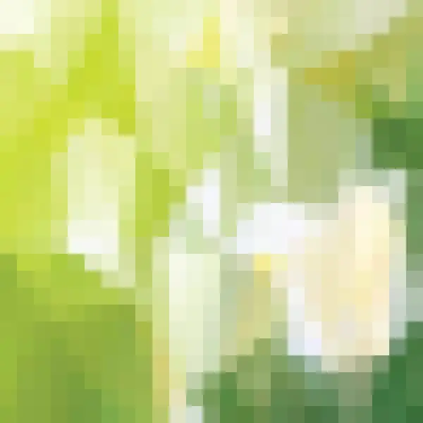 Pixel Hintergrund Polygonaler Stil Vektorvorlage Für Eine Präsentation — Stockvektor