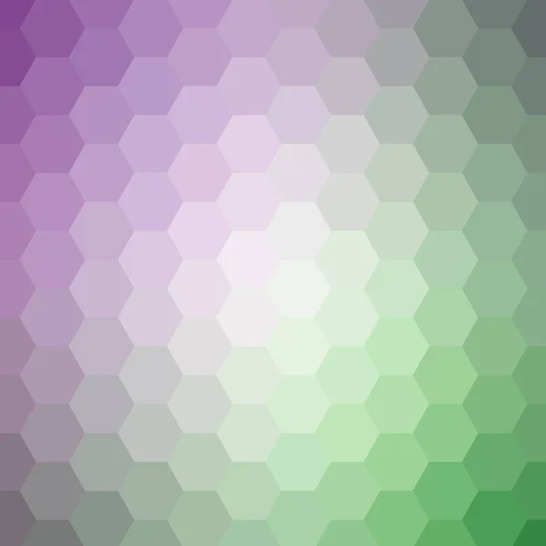 Color Hexagon Background Polygonal Style Vector Template Presentations Advertisements Brochures — Stock Vector