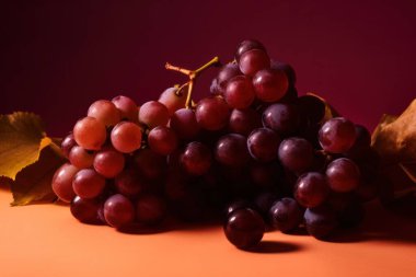 Üzüm, taze lezzetli meyve. Yüksek kaliteli fotoğraf.