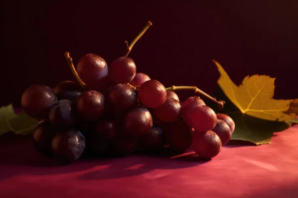 Σταφύλια Φρέσκα Νόστιμα Φρούτα Υψηλής Ποιότητας Φωτογραφία — Φωτογραφία Αρχείου