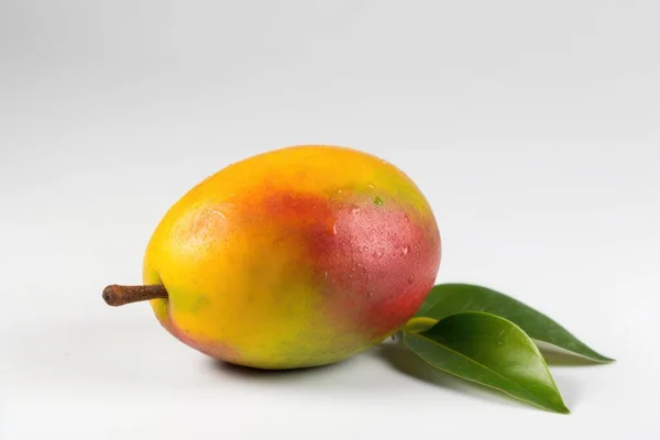 Mango Aislado Sobre Fondo Blanco Fruta Fresca Sabrosa Foto Alta —  Fotos de Stock