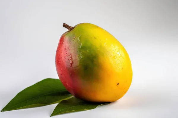 芒果被白色的背景隔离 新鲜美味的水果 高质量的照片 — 图库照片