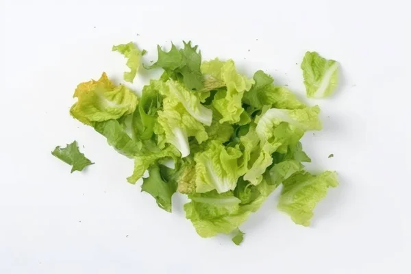 Салат Изолирован Белом Фоне Свежие Вкусные Овощи Свежие Ингредиенты Приготовление — стоковое фото