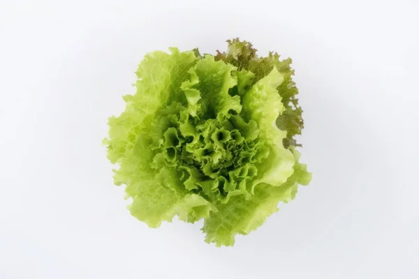 Lattuga Isolata Fondo Bianco Verdure Fresche Saporite Ingredienti Freschi Ingredienti — Foto Stock