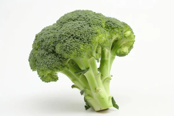 Broccoli White Isolated Background Fresh Tasty Vegetables Fresh Ingredients Cooking — Stock Photo, Image