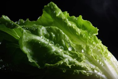 Marul, taze sebzeler, taze malzemeler, yemek malzemeleri. Yüksek kaliteli fotoğraf.