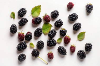 Berry, izole edilmiş beyaz arka plan, böğürtlen, taze lezzetli meyve. Yüksek kaliteli fotoğraf.