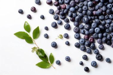 Yabanmersini, böğürtlen, taze lezzetli meyve. Yüksek kaliteli fotoğraf.