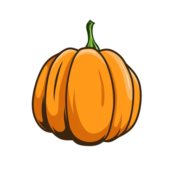 Pumpkin Fruit Vector Design — Stock Vector