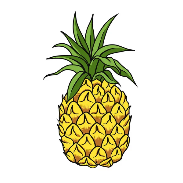 Vectortekening Van Ananasvruchten — Stockvector