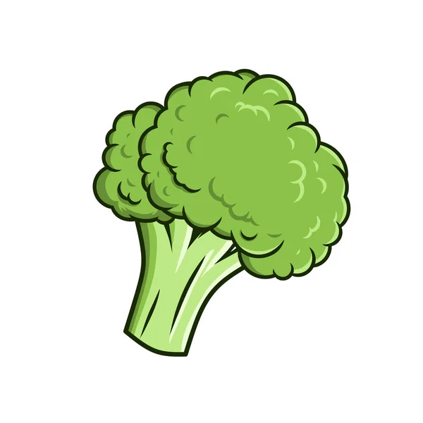 Broccoli Vector Geïsoleerd Witte Achtergrond — Stockvector