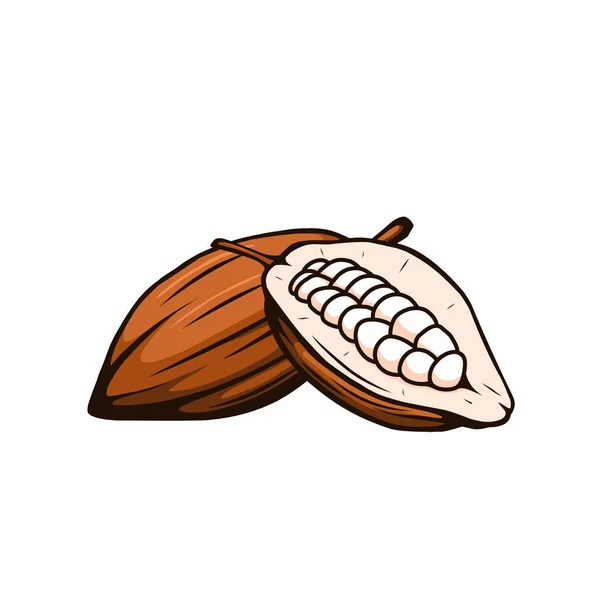 Ilustración Vectorial Fruta Del Cacao — Vector de stock