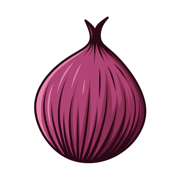 Фиолетовый Лук — стоковый вектор