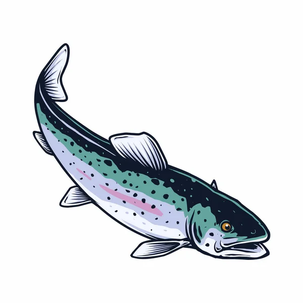 トラウト魚のイラスト — ストックベクタ