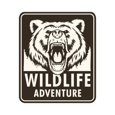 Ayı başlı vahşi yaşam macera rozeti