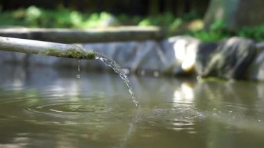 Arka bahçedeki gölde akan su