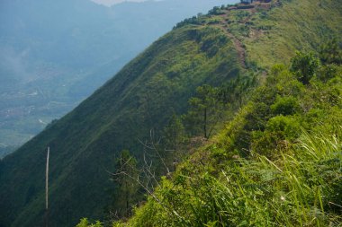 Yeşil Yapraklı Güzel Dağ Manzarası