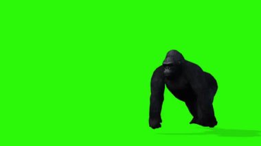 Yeşil arka planda zürafa. 3d oluşturma