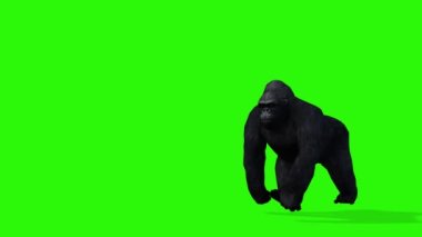 Yeşil arka planda zürafa. 3d oluşturma