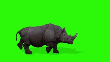 Siyah arkaplanı olan yeşil bir gergedanın 3D görüntüsü