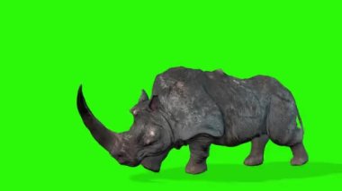Siyah arkaplanı olan yeşil bir gergedanın 3D görüntüsü