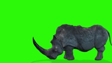 Siyah arkaplanı olan yeşil bir gergedanın 3D görüntüsü