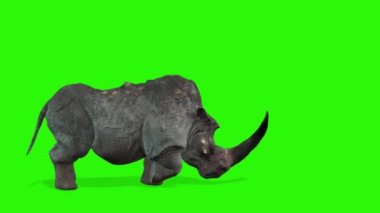Siyah arkaplanı olan yeşil bir gergedanın 3D görüntüsü