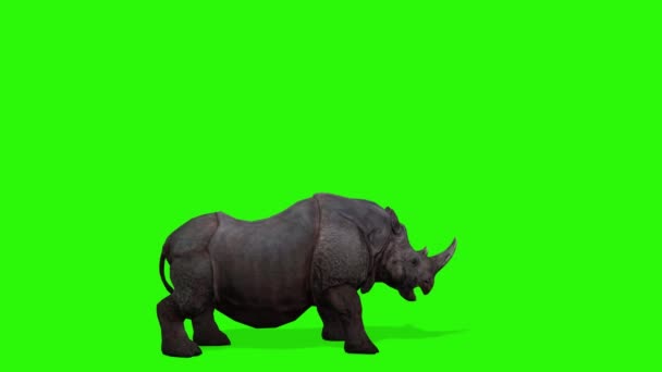 Rendering Eines Grünen Nashorns Mit Schwarzem Hintergrund — Stockvideo