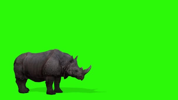 Rendering Green Rhino Black Background — Stock Video