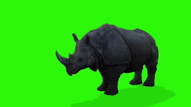 Rendering Rinoceronte Verde Con Sfondo Nero — Video Stock