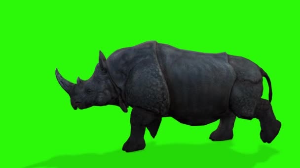 Рендеринг Зеленого Носорога Черным Фоном — стоковое видео