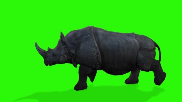 Representación Rinoceronte Verde Con Fondo Negro — Vídeo de stock