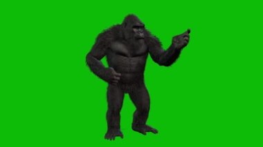 Siyah kral kong yeşil arkaplanda izole edildi