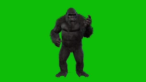 緑の背景に隔離された黒のキングコング — ストック動画