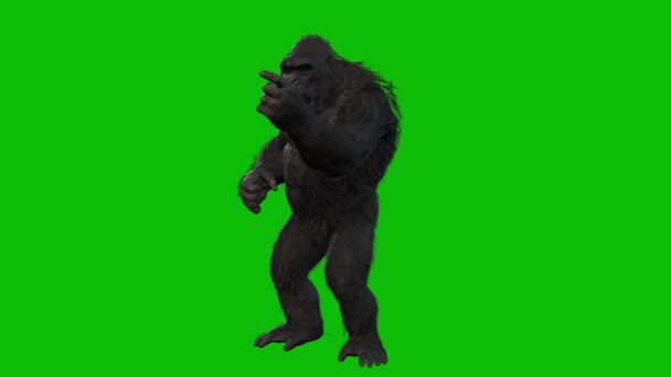 Zwarte Koning Kong Geïsoleerd Groene Achtergrond — Stockvideo