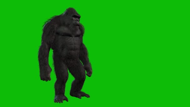 Schwarzer König Kong Isoliert Auf Grünem Hintergrund — Stockvideo