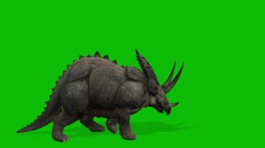 Yeşil arkaplanın 3d görüntülemesi