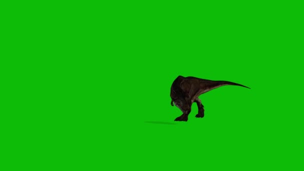 Rex Dinosaurus Video Greenscreen — Stock video