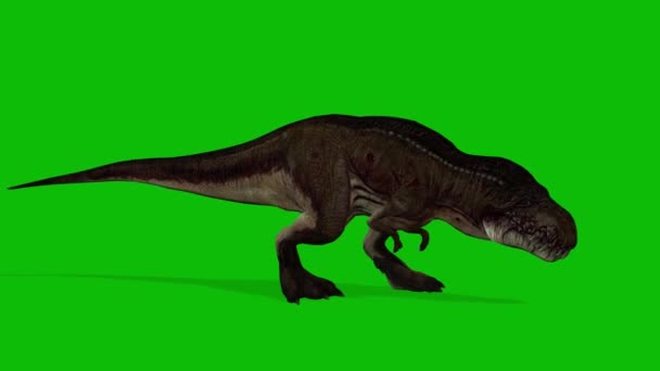 Rex Dinosaurio Video Pantalla Verde — Vídeo de stock