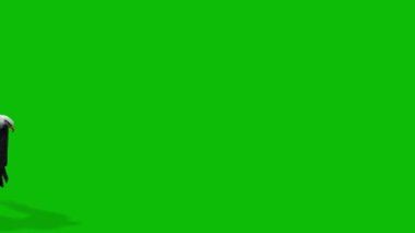 Kartal yeşil ekran 4K video