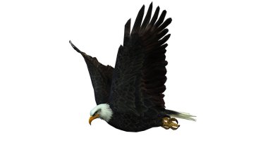 Kanatlı kartal